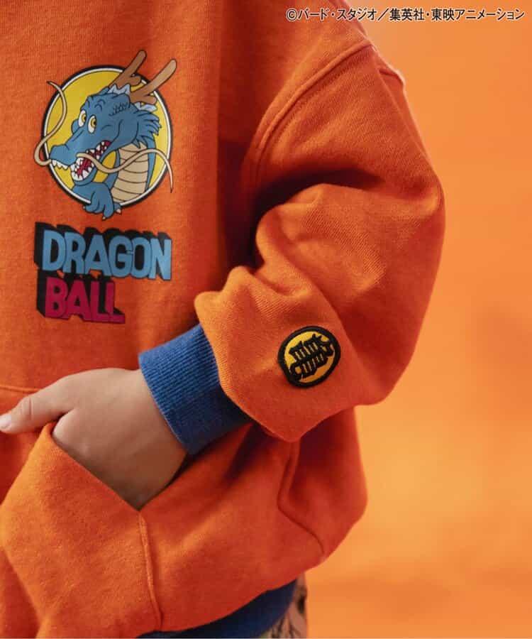 173913096