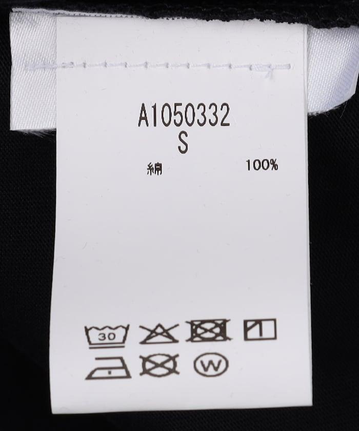 173254029