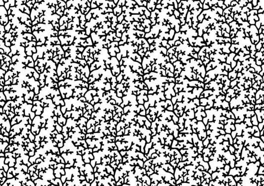 153221854